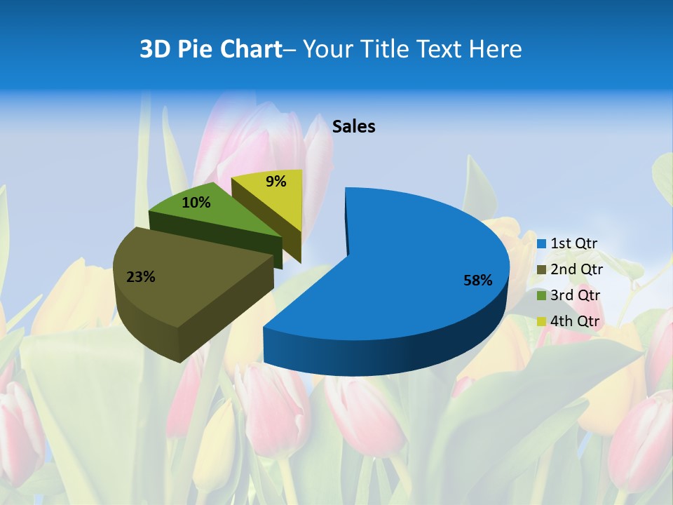 Himmel Feld Tulpen PowerPoint Template