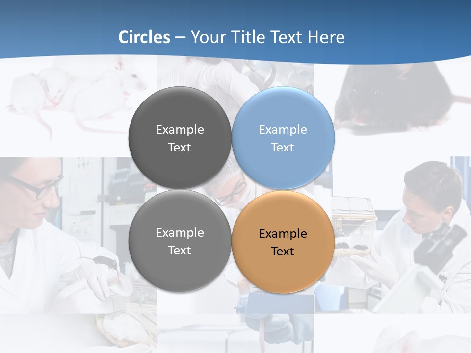 Injection Black Glasses PowerPoint Template