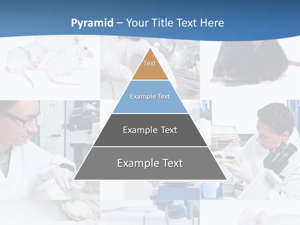 Injection Black Glasses PowerPoint Template