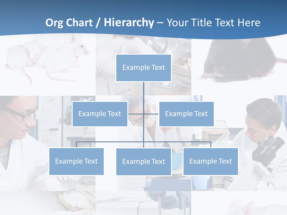 Injection Black Glasses PowerPoint Template