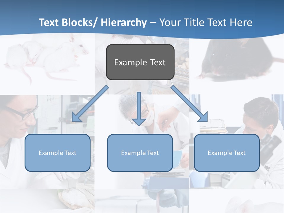 Injection Black Glasses PowerPoint Template