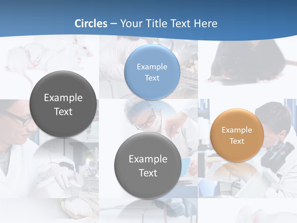 Injection Black Glasses PowerPoint Template