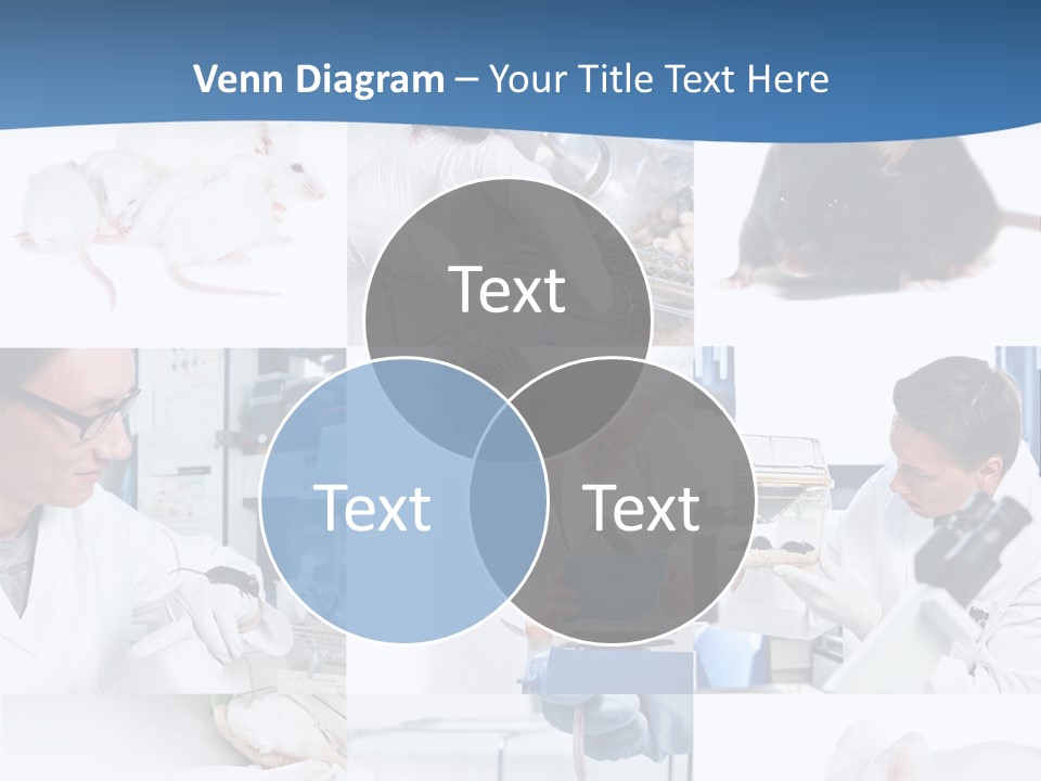 Injection Black Glasses PowerPoint Template