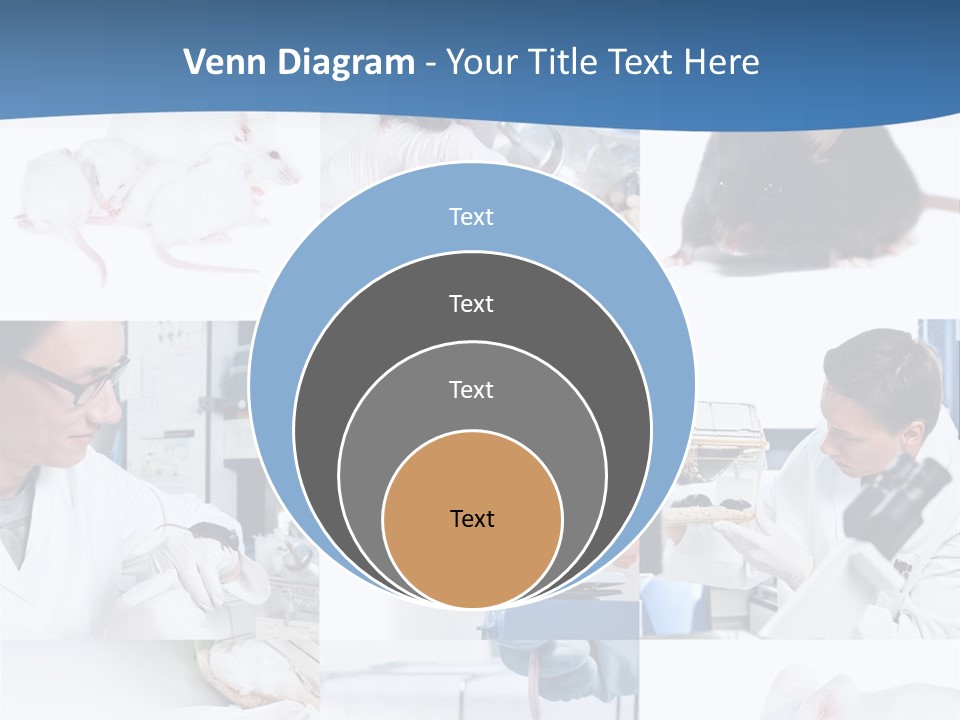Injection Black Glasses PowerPoint Template