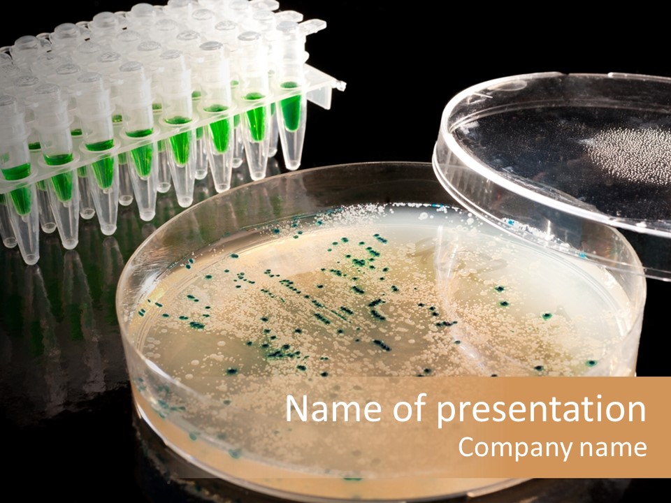 Genetics Cloning Coli PowerPoint Template