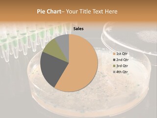 Genetics Cloning Coli PowerPoint Template