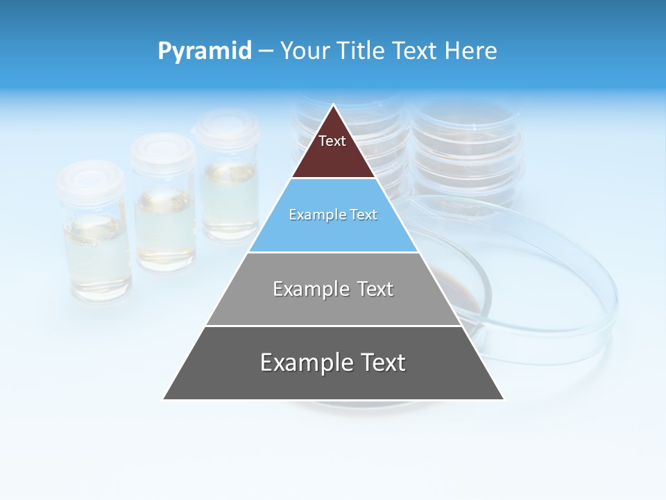 Health Brown Bacteria PowerPoint Template