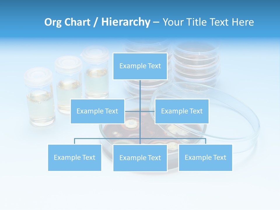 Health Brown Bacteria PowerPoint Template