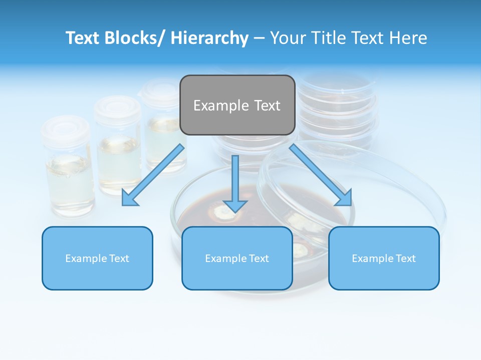 Health Brown Bacteria PowerPoint Template