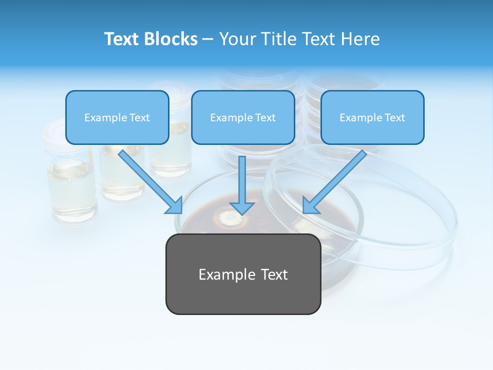 Health Brown Bacteria PowerPoint Template