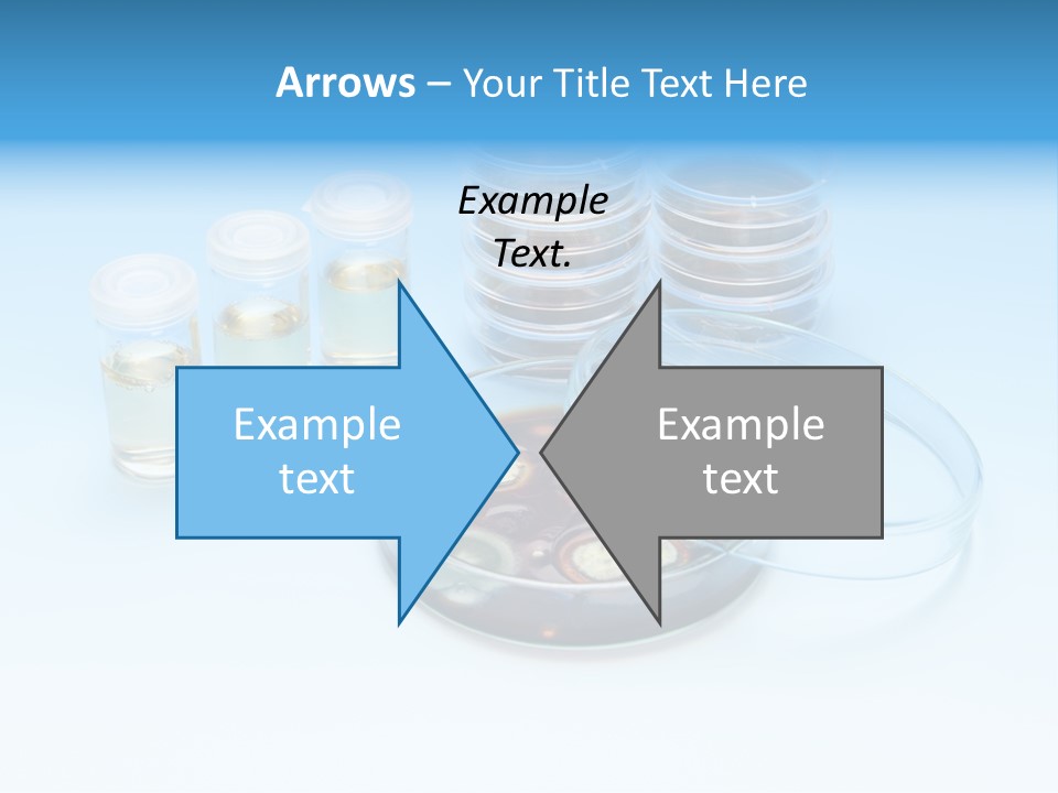 Health Brown Bacteria PowerPoint Template
