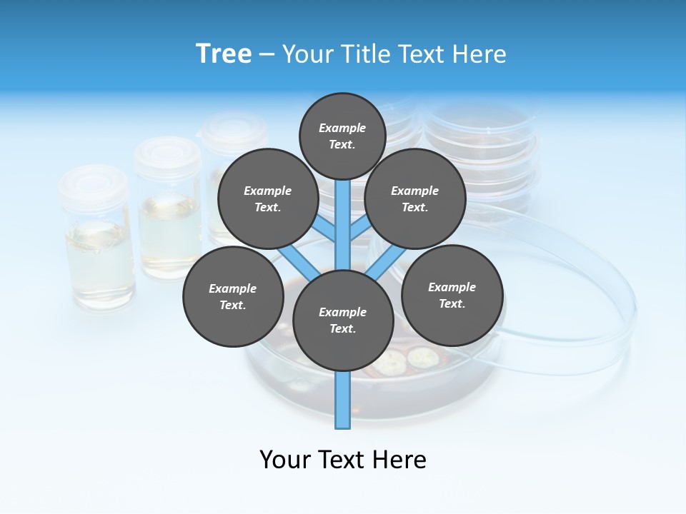 Health Brown Bacteria PowerPoint Template