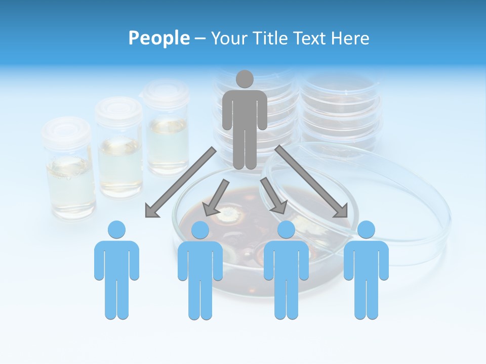 Health Brown Bacteria PowerPoint Template