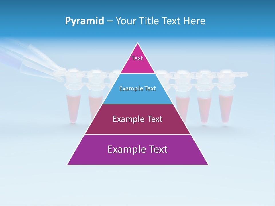 Pcr Stripe Cover Dna Amplification PowerPoint Template