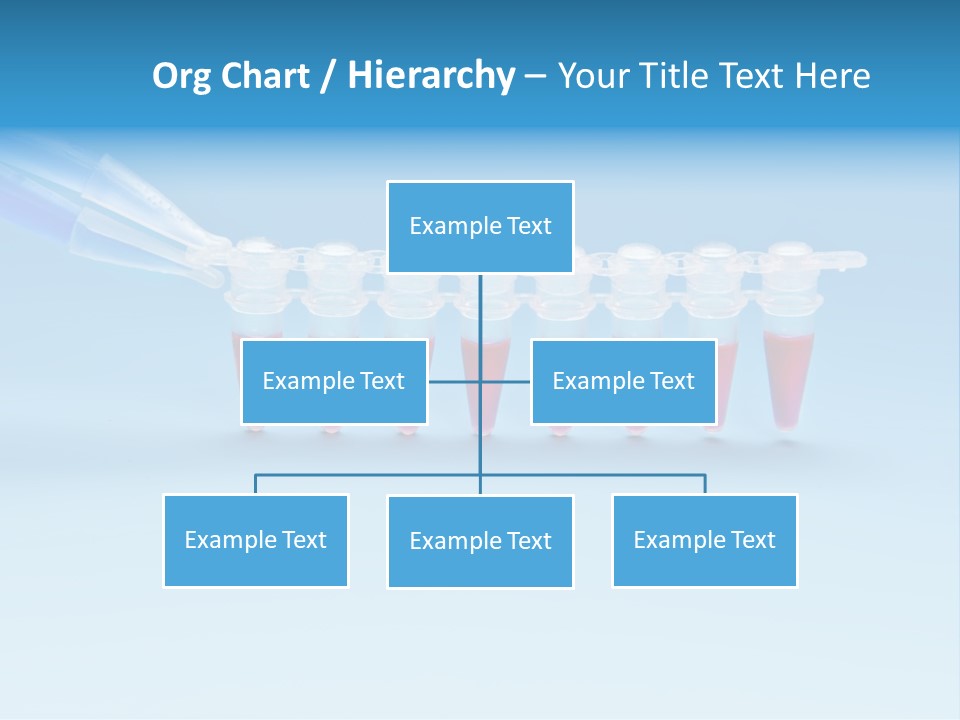 Pcr Stripe Cover Dna Amplification PowerPoint Template