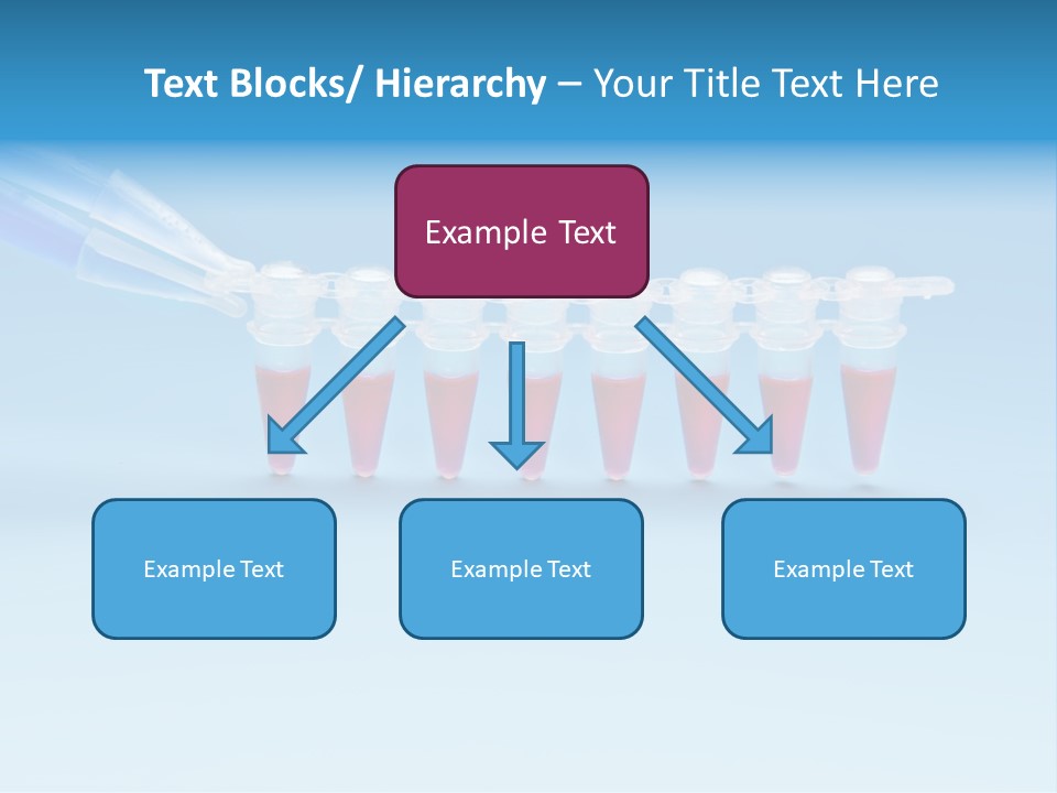 Pcr Stripe Cover Dna Amplification PowerPoint Template