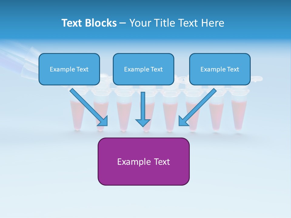 Pcr Stripe Cover Dna Amplification PowerPoint Template