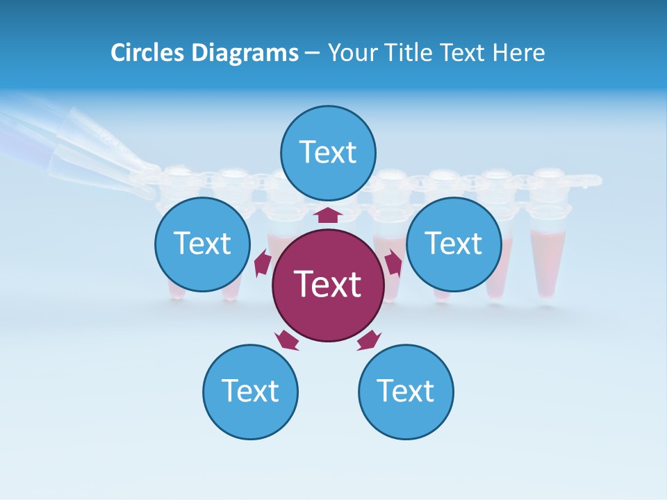 Pcr Stripe Cover Dna Amplification PowerPoint Template