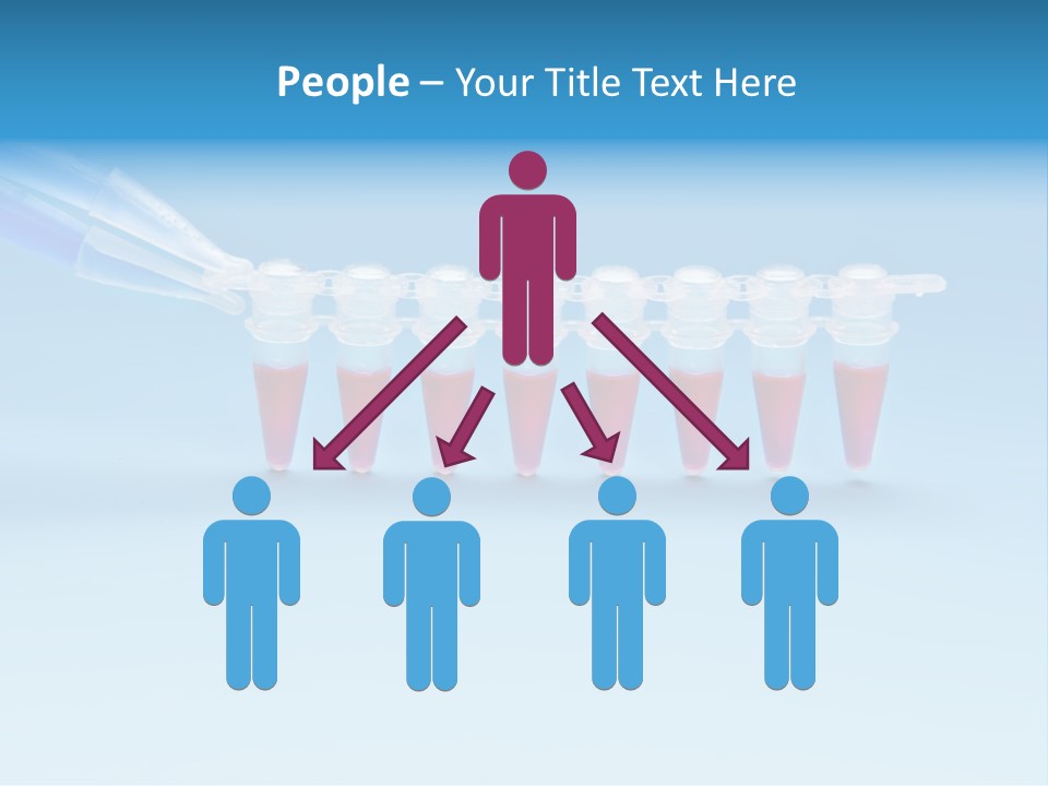 Pcr Stripe Cover Dna Amplification PowerPoint Template