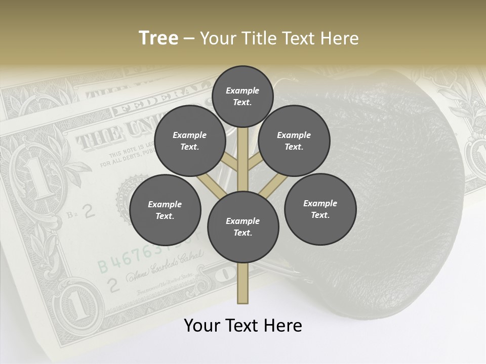 Pocket Money Roll PowerPoint Template