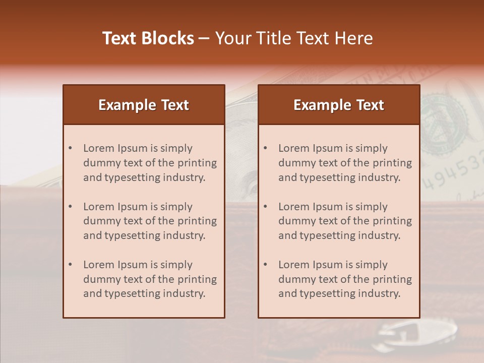 Purse American Sight PowerPoint Template