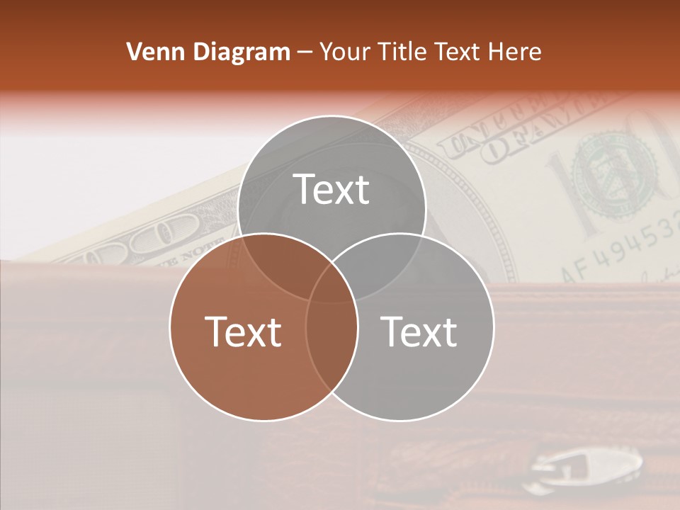 Purse American Sight PowerPoint Template
