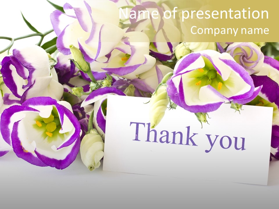 Card Decoration You PowerPoint Template