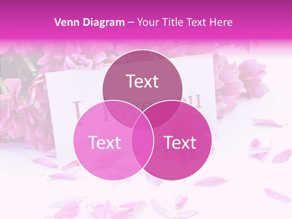 Color Gift Flower PowerPoint Template