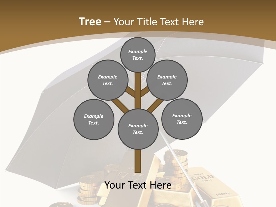 Wealth Security Symbol PowerPoint Template
