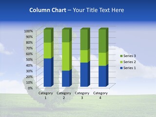 Goal Ecology Sport PowerPoint Template