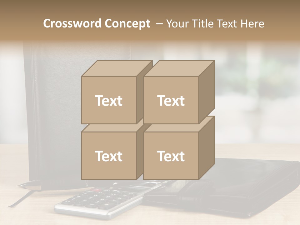 Network Manager Accountant PowerPoint Template