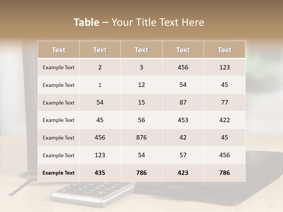 Network Manager Accountant PowerPoint Template