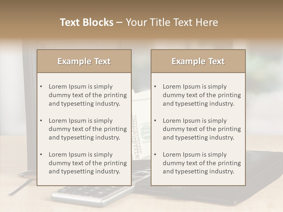 Network Manager Accountant PowerPoint Template