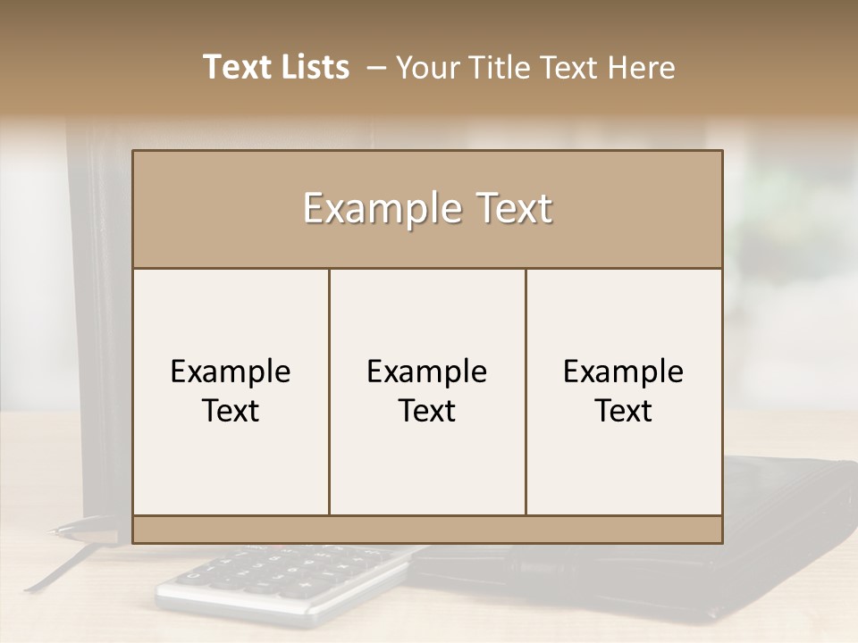 Network Manager Accountant PowerPoint Template