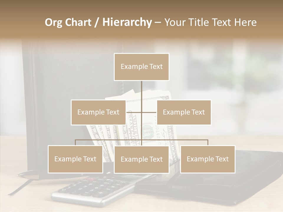 Network Manager Accountant PowerPoint Template
