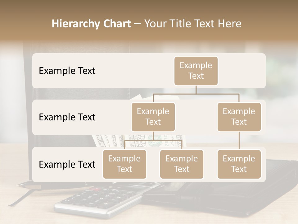 Network Manager Accountant PowerPoint Template