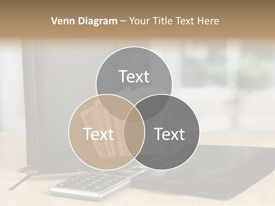 Network Manager Accountant PowerPoint Template