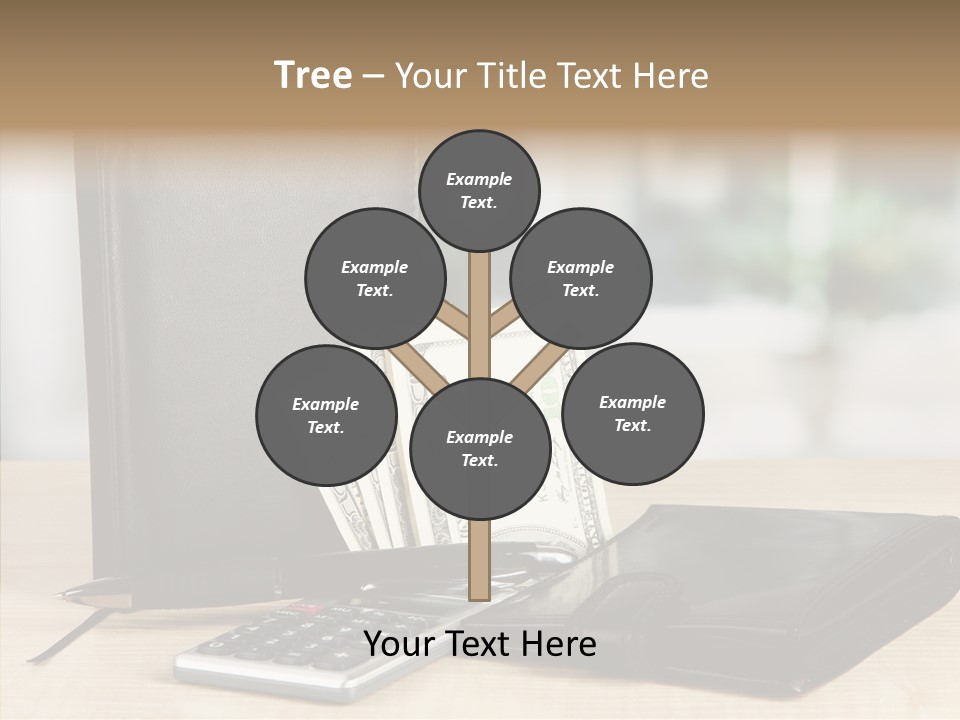 Network Manager Accountant PowerPoint Template