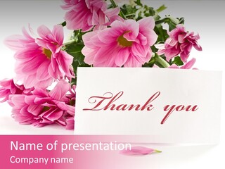 Daisy Phrase Script PowerPoint Template