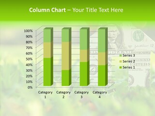 Architect Hand Holding Concept PowerPoint Template