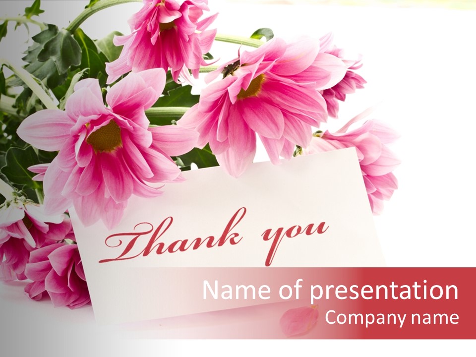 Word You Daisy PowerPoint Template