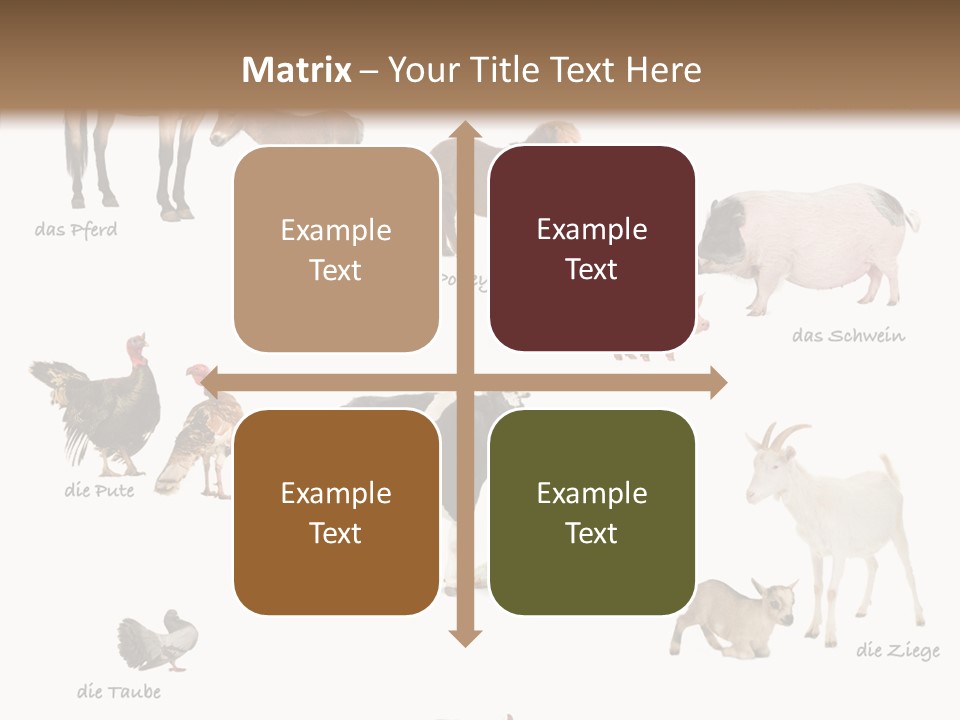 Pigs Poster Livestock PowerPoint Template