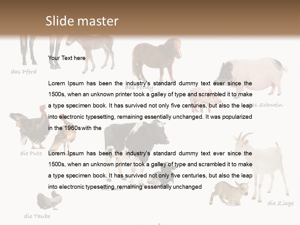 Pigs Poster Livestock PowerPoint Template