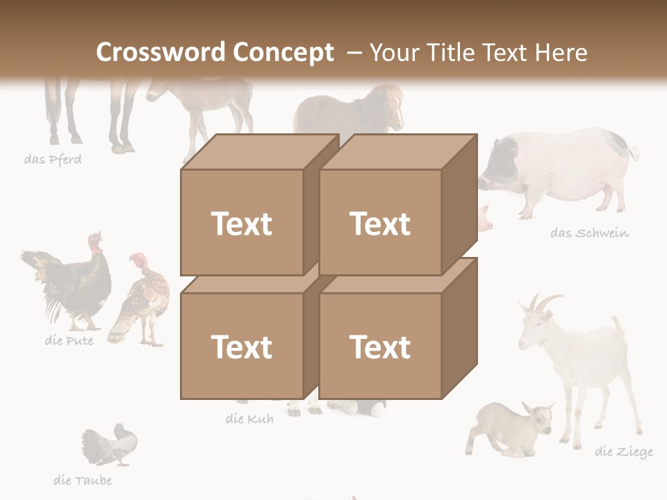 Pigs Poster Livestock PowerPoint Template