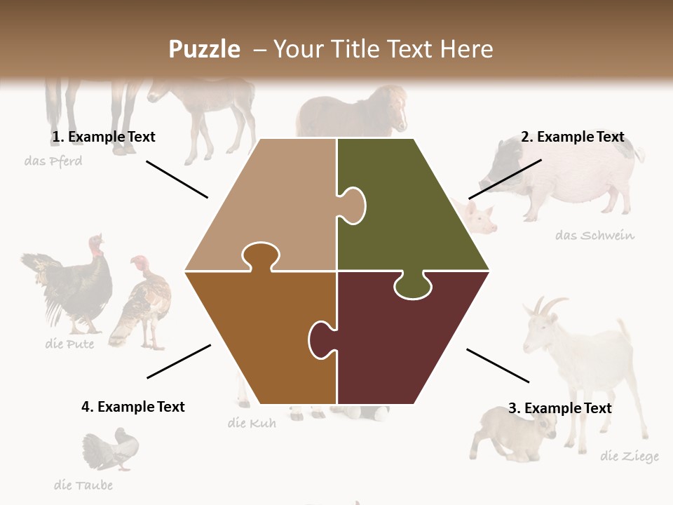 Pigs Poster Livestock PowerPoint Template