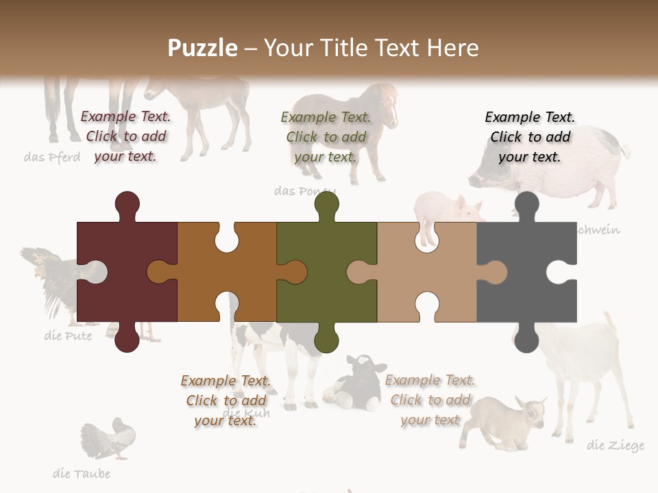 Pigs Poster Livestock PowerPoint Template