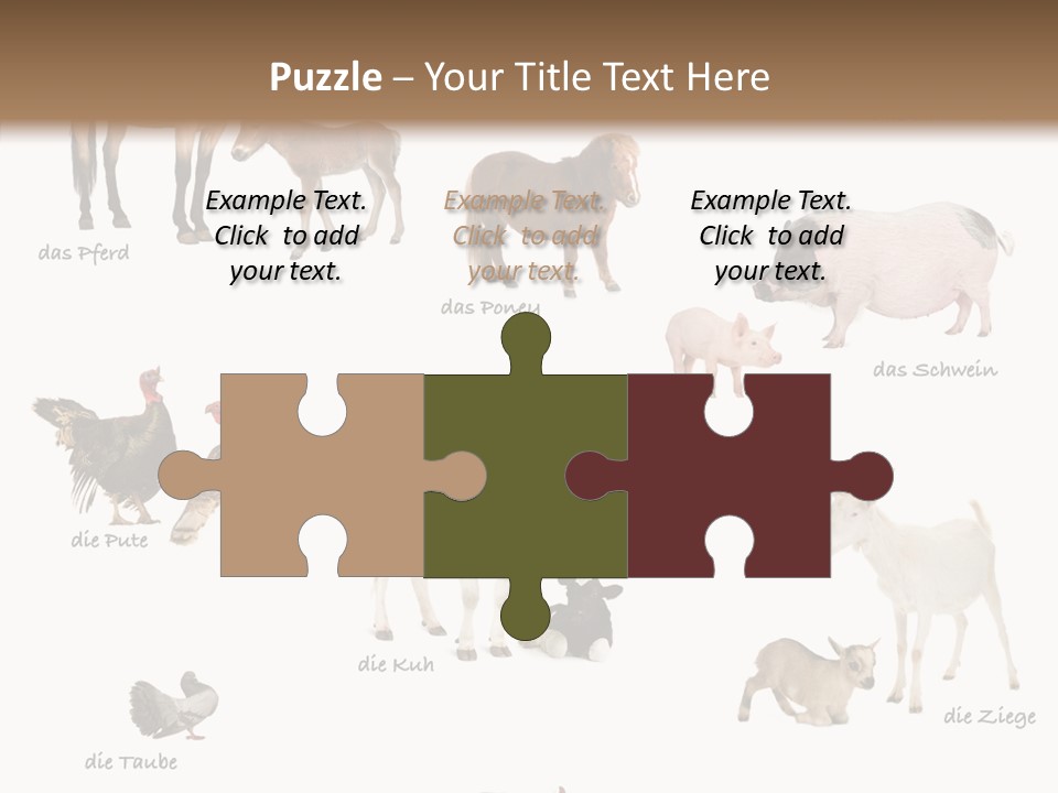 Pigs Poster Livestock PowerPoint Template