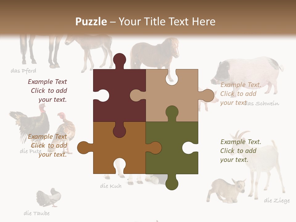 Pigs Poster Livestock PowerPoint Template