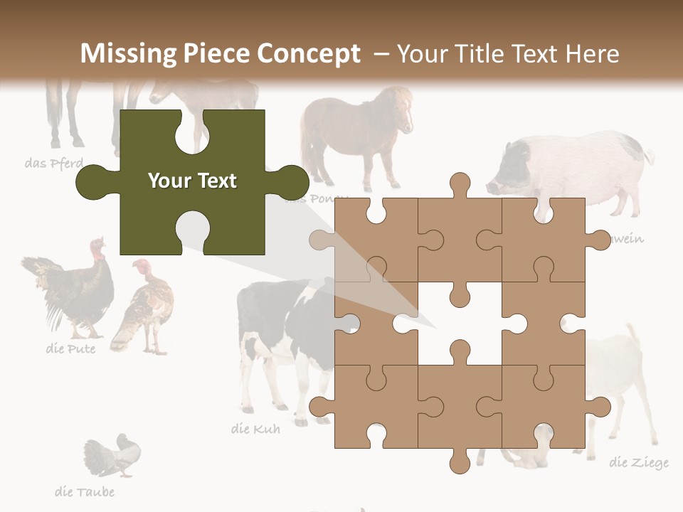 Pigs Poster Livestock PowerPoint Template