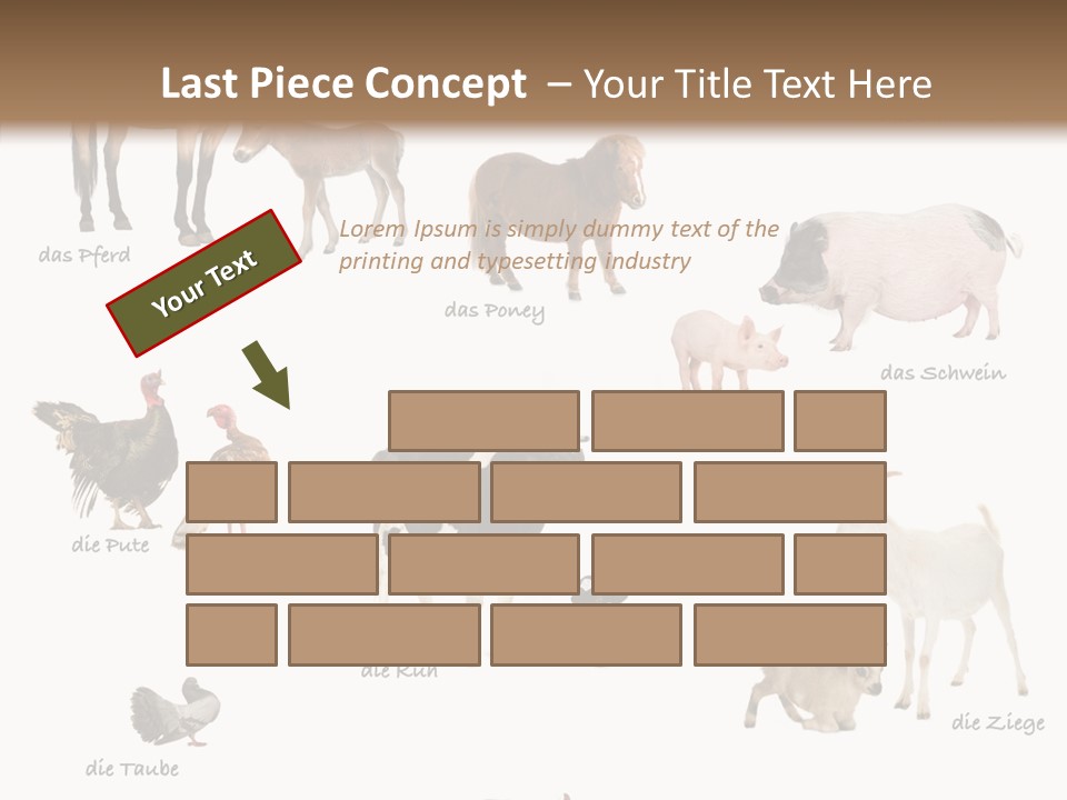 Pigs Poster Livestock PowerPoint Template